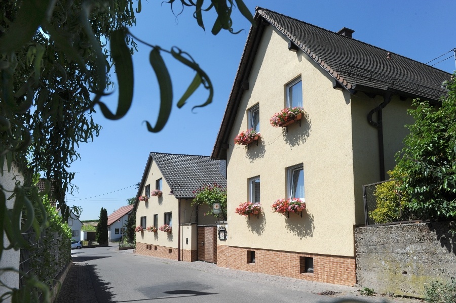 Haus Rietburgblick Rhodt unter Rietburg